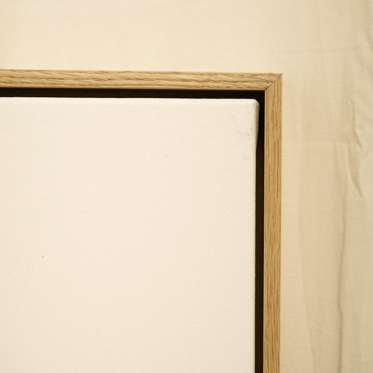 FrameMates Single Canvas & Float Frame Bundle