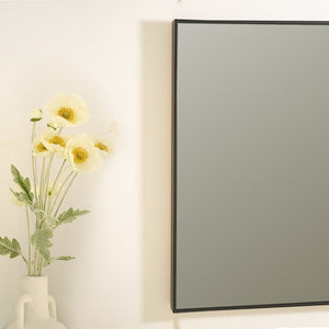 Dark Grey Tint Rectangle Mirror