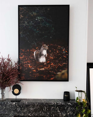 Canvas Print, Stretch & Frame