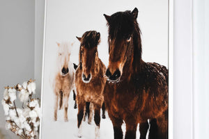 Canvas Print, Stretch & Frame