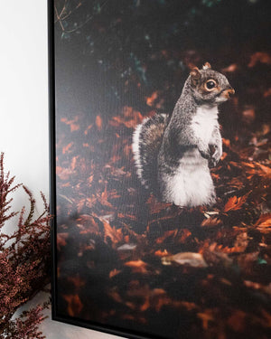 Canvas Print, Stretch & Frame