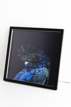 Blue Parrot in Black Frame
