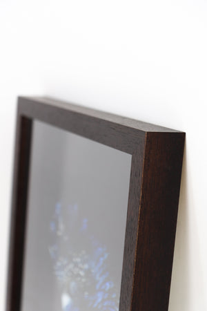 Blue Parrot in Dark Timber Frame