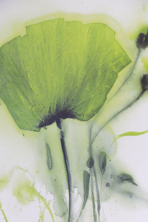 Green florals in timber frame