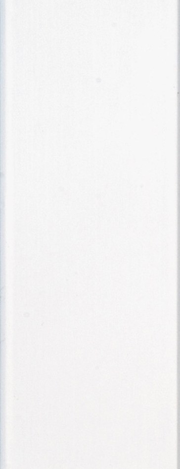 Vienna · White moulding