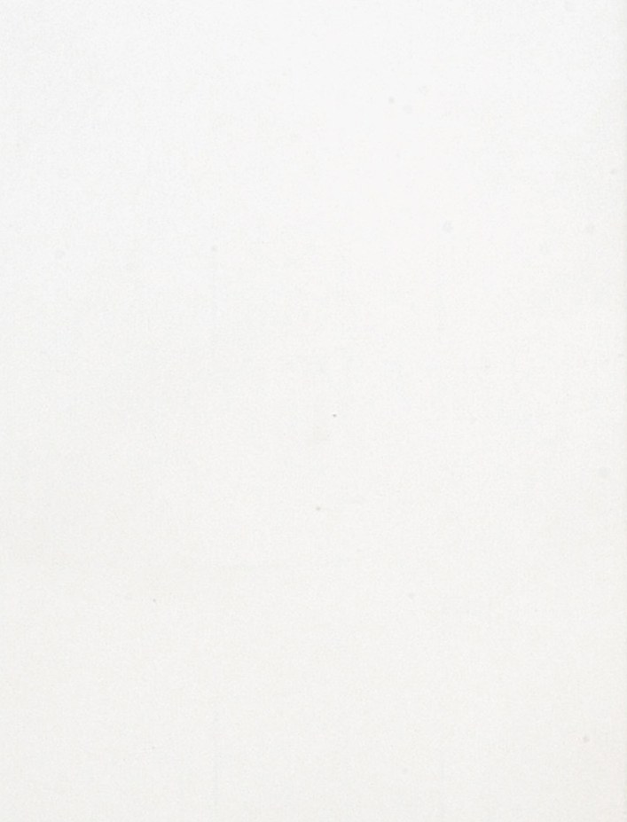 Chalet · White moulding