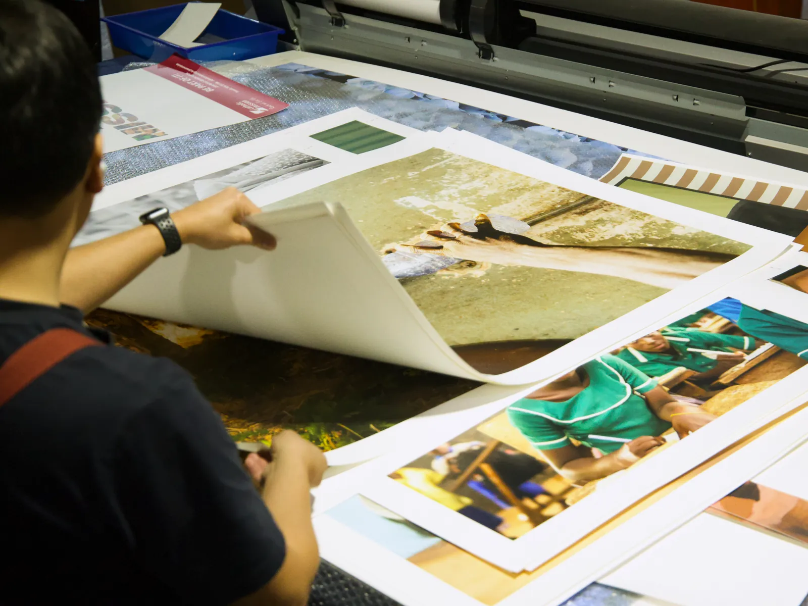 A framer at the printer going through a stack of freshly printed photographs