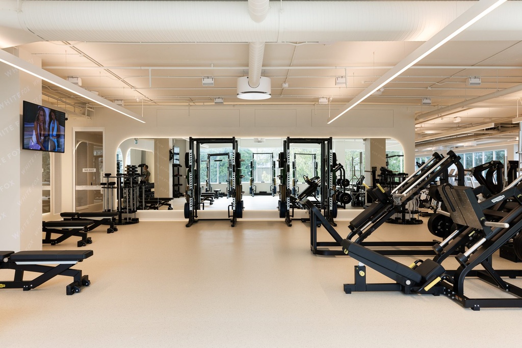 Weight machines and racks facing a wide mirror wall with rounded corners at the end of the gym